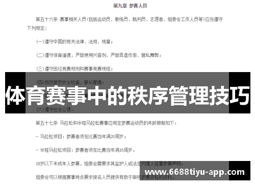 体育赛事中的秩序管理技巧